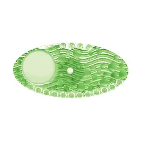 36we48 Tough Guy Holder And Solid Air Freshener Refill Pk10