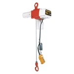 Harrington ED250DS-15 Electric Chain HOIST,250 LB.,15 Ft. 6HJP8. Fixed Price $3888.59.